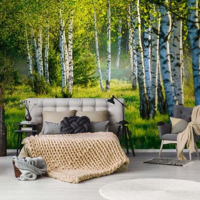 Paper photo wallpaper green forest