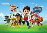 Paw Patrol wallpaper murals Premium | Buy it now