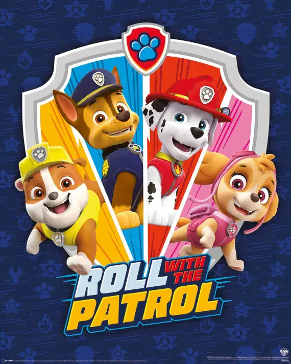 Paw Patrol medium size posters 40x50cm cartoon | Buy it now