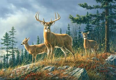 Photo wallpaper Autumn Whitetails