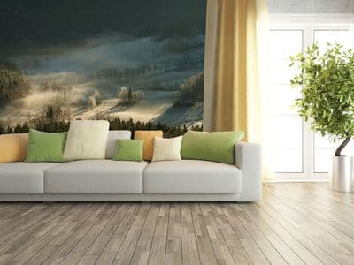 Photo wallpaper Frosty Forest With Dew