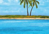 Largest selection of wall mural wallpapers | Online shops