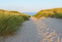 Photo wallpapers Sandy Path - Seaside | Buy it now