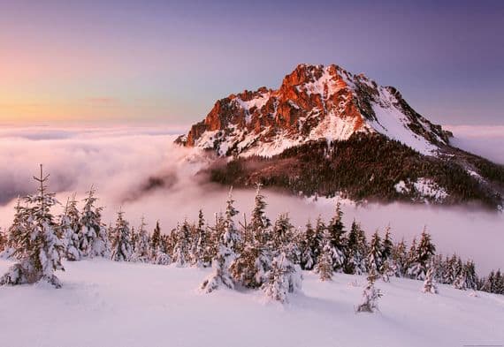 Photo wallpapers Snowy Mountain Peak | Shop online