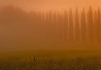 Photo wallpapers Tuscany Sun Rising | Shop online
