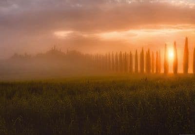 Photo wallpaper Tuscany Sun Rising