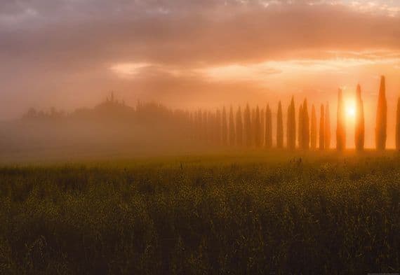 Photo wallpapers Tuscany Sun Rising | Shop online
