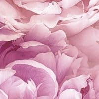 Premium photo wallpaper Pink Flowers | Shop online