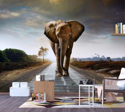 Premium wall mural wallpaper Elephant on the street