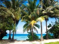 Beach  Premium wall murals | Buy it now
