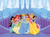 Princess Premium wall murals | Buy it now
