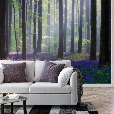 Purple  Bluebells - Forest Photo Wallpaper For Living Room