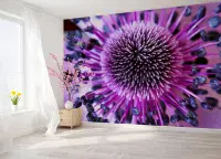 Purple flower close up wallpaper murals