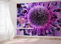 Purple flower close up wallpaper murals