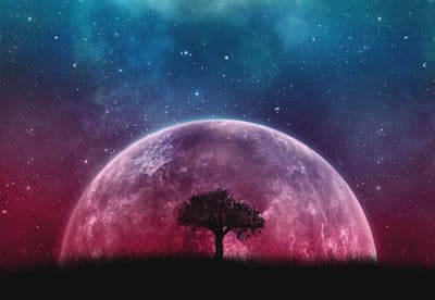Purple Planet paper photo wallpaper