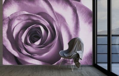 Purple Rose Floral Paper Photo Wallpaper