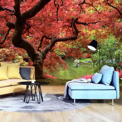 Red leaves on the tree wallpaper murals