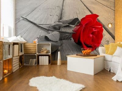 Red rose wall mural for wall
