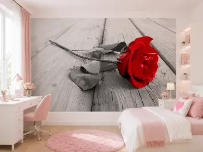 Red rose wall mural for wall