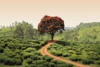Living room photo wallpapers Red Tree | Shop online