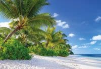Reunion beach and palms wallpapers by Homewallmurals