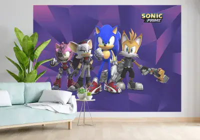 Sonic Hedgehog Gamer Bedroom Photo Wallpaper  252x182 cm