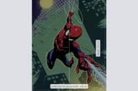 Spider-Man photo wallpaper | Buy it now