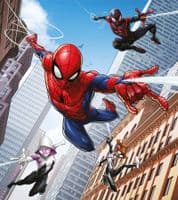 Marvel Premium wall murals | Buy it now