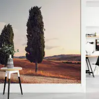 Living room photo wallpapers Colombo landscape | Shop online
