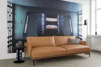 Non-woven quality wallpaper mural | Allwallpapers