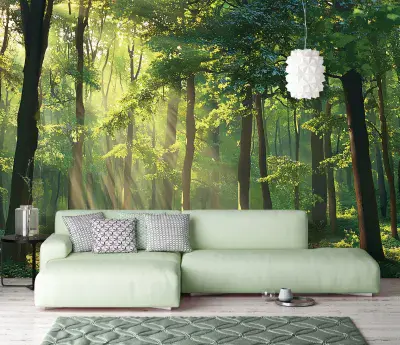 Summer Living Room Photo Wallpaper 312x219 cm  Sunny Forest