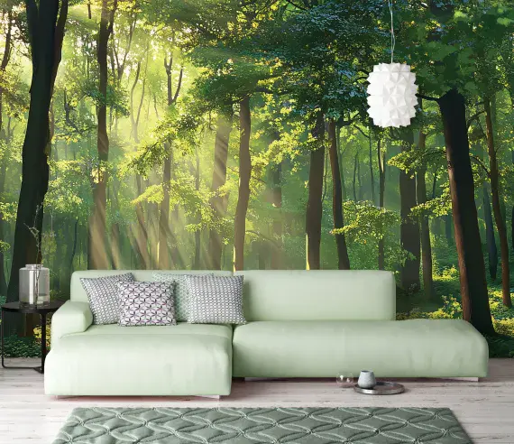 Summer Forest Photo Wallpaper | Buy it online from UK shop