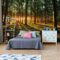 Bedroom forest unisex photo wallpaper from UK shop  | Buy it online