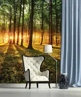 Bedroom forest unisex photo wallpaper from UK shop  | Buy it online