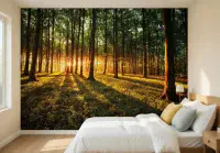 Bedroom forest unisex photo wallpaper from UK shop  | Buy it online