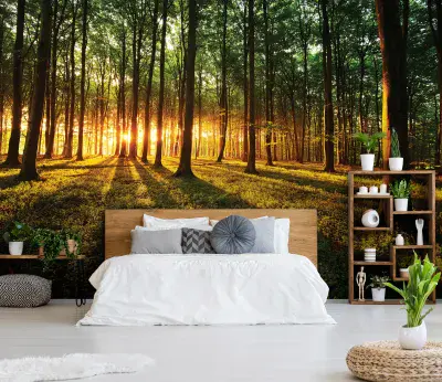 Sundown Forest Photo Wallpaper 312x219 cm Unisex Bedroom