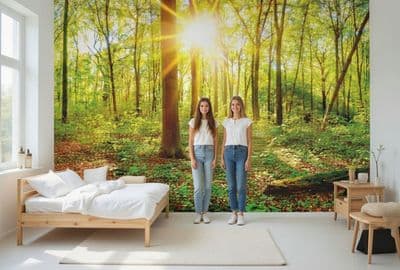 Sunny forest wall mural wallpaper 260 x 384cm