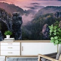 Sunrise on the Rocks Wall Mural Wallpaper | Shop online