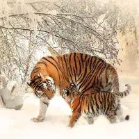 Wide range of Animal themed adults bedroom Wallpaper Murals | Buy it online