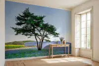 Living room photo wallpapers Flower Field | Shop online