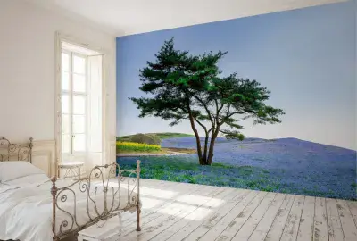 Tree in Blue Flower Field in Japan wall mural wallpaper Premium