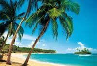 Living room photo wallpapers Tropical Paradise Island | Shop online