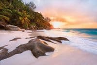 Morning in paradise wall non woven wallpapers | homewallmurals