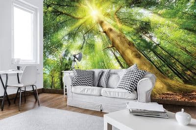 Vlies wallpaper mural Green Forest 10112VEXXL