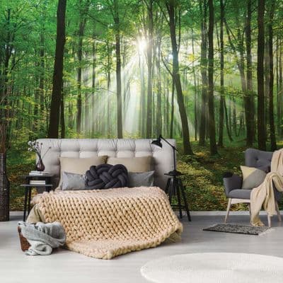 Wall mural Light Green summer forest