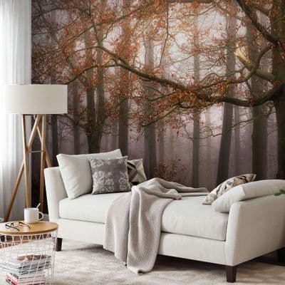 Wall mural wallpaper 260 x 384cm Foggy Autumn Forest