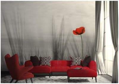 Wall mural wallpaper Lonely Red Poppy flower
