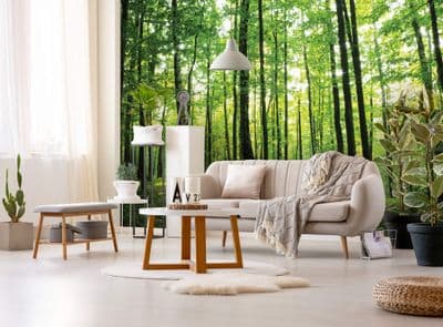 Wallpaper mural - easy install Forest Trees GreenNature 186VEXXL