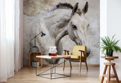 Wallpaper mural - easy install Horse Pony