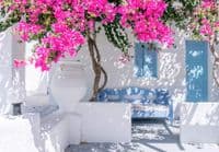 UK store offering wide range of Wallpaper MURALS  | Buy it online